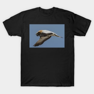 Gannets 1 T-Shirt